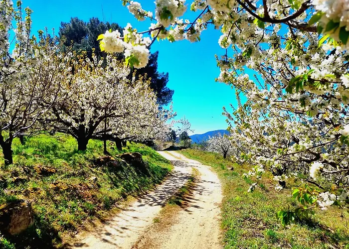 La Tendera By #Cherrygredos