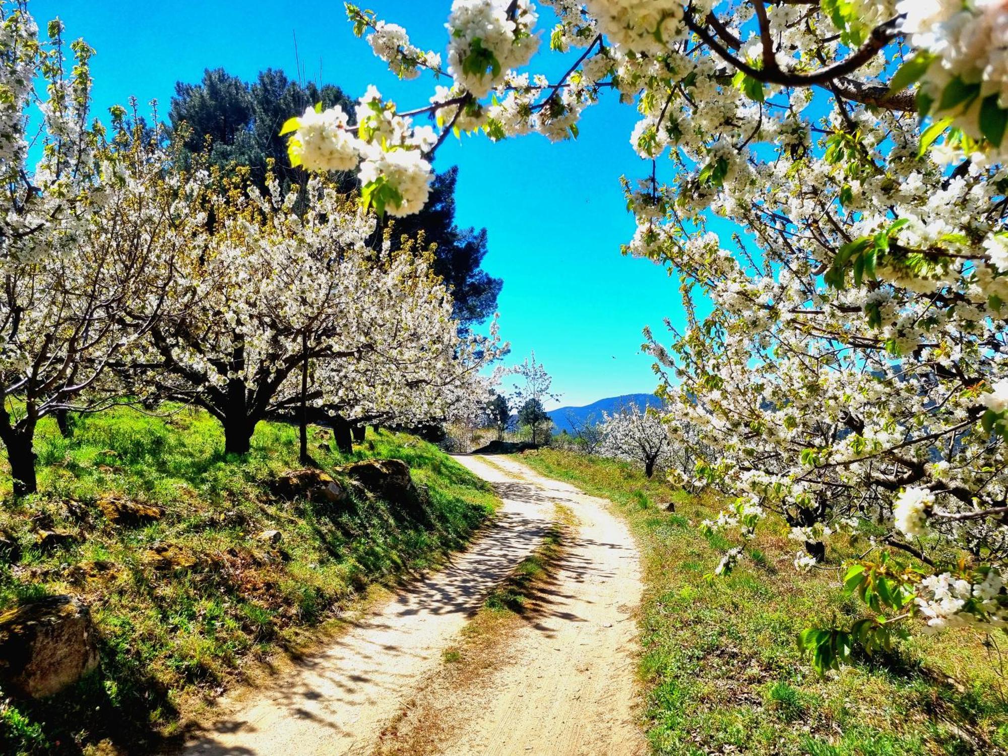 La Tendera By #cherrygredos